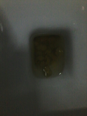 journal_insert_pic_153929546