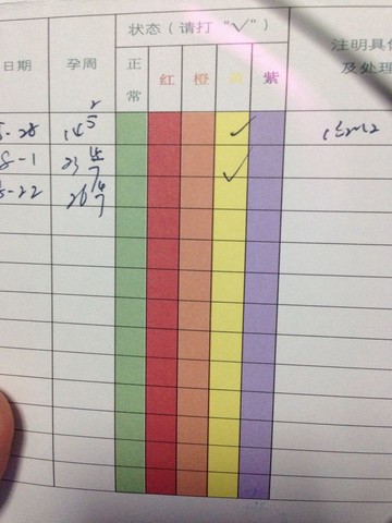 journal_insert_pic_153979780