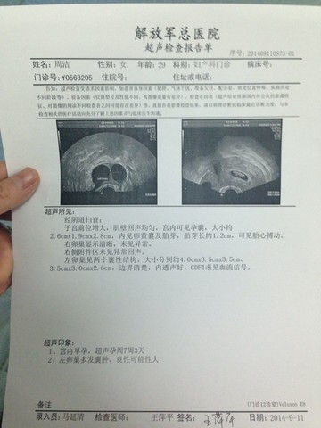 journal_insert_pic_154082216