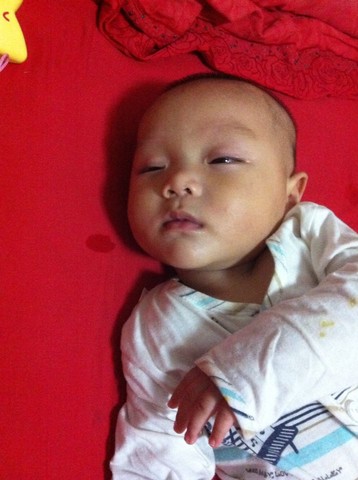 journal_insert_pic_154364553