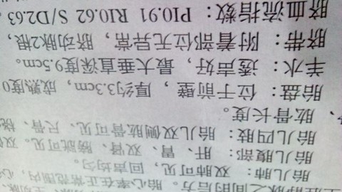 journal_insert_pic_154481357