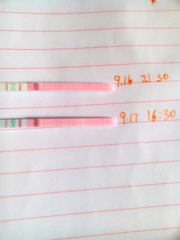 journal_insert_pic_154780130