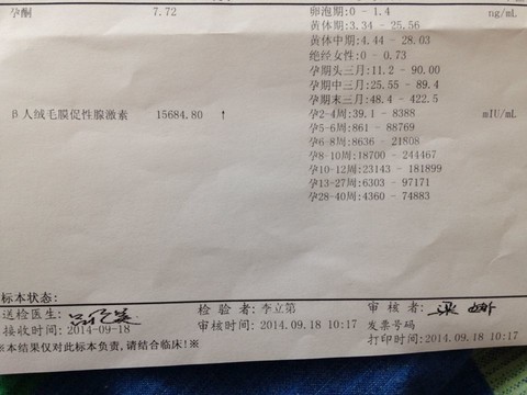 journal_insert_pic_154879462