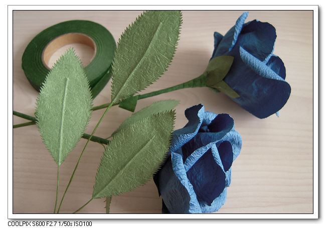 journal_insert_pic_154863946