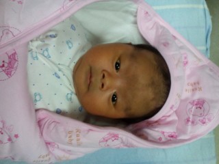 journal_insert_pic_155387402