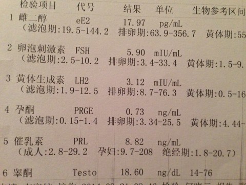 journal_insert_pic_155427966