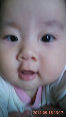 journal_insert_pic_155578462