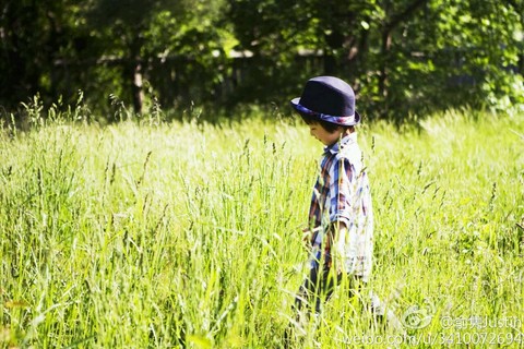 journal_insert_pic_155997566