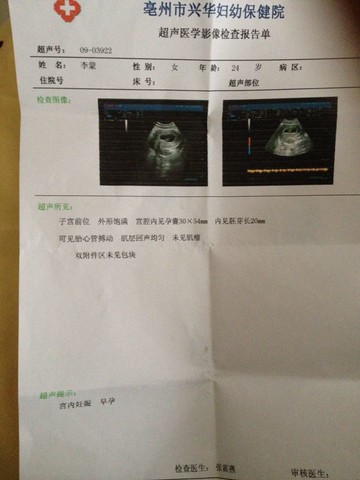 journal_insert_pic_156261814