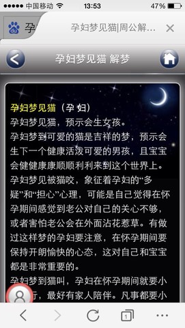 journal_insert_pic_156264501