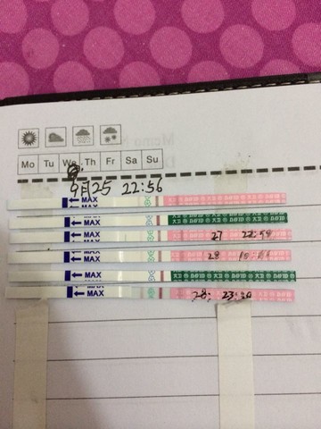 journal_insert_pic_156529356