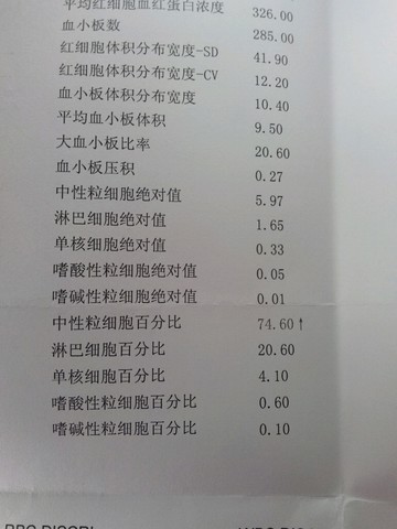 journal_insert_pic_156603970