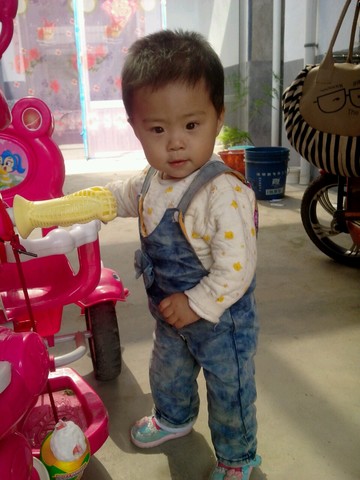 journal_insert_pic_156774858