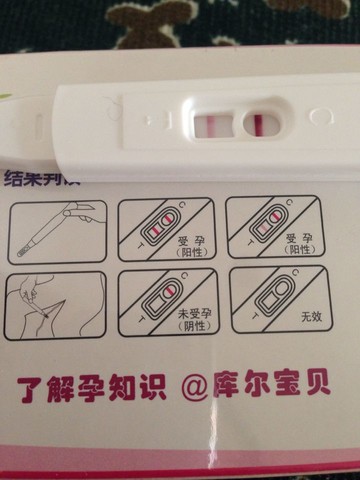 journal_insert_pic_157254140