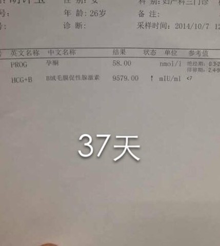 journal_insert_pic_157815325