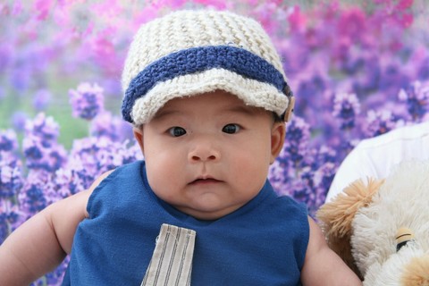 journal_insert_pic_158387779