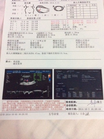 journal_insert_pic_159774626
