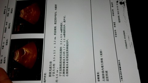 journal_insert_pic_160121340