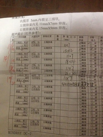 journal_insert_pic_160192980