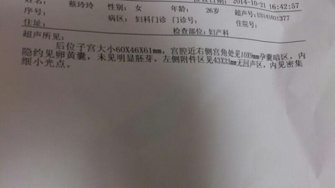 journal_insert_pic_160646103