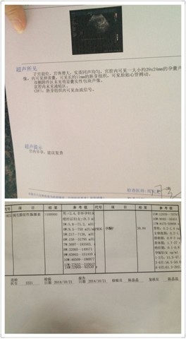 journal_insert_pic_160547902