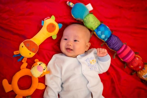 journal_insert_pic_160898545