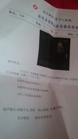journal_insert_pic_161384001