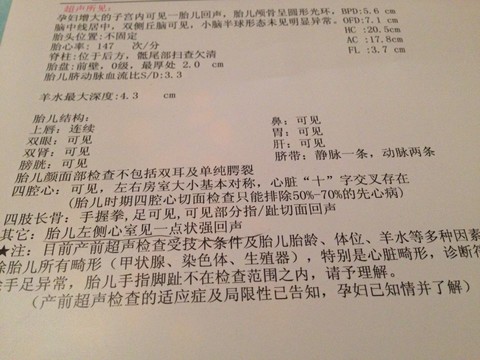 journal_insert_pic_161675170