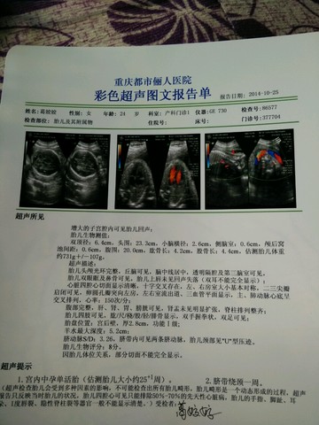 journal_insert_pic_161848241