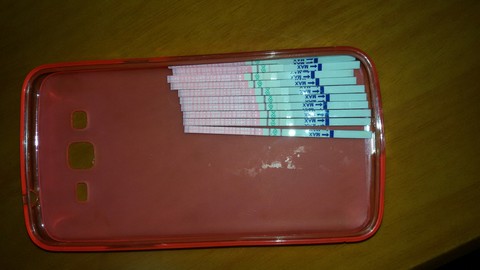 journal_insert_pic_161975567