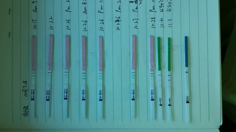 journal_insert_pic_163911917