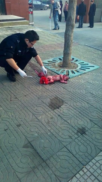 将女婴从5楼扔下,当场死亡,场面令人心碎,有图慎入.