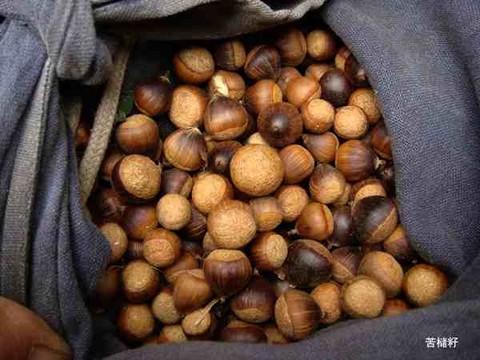 止泻神物,神奇的土方子.