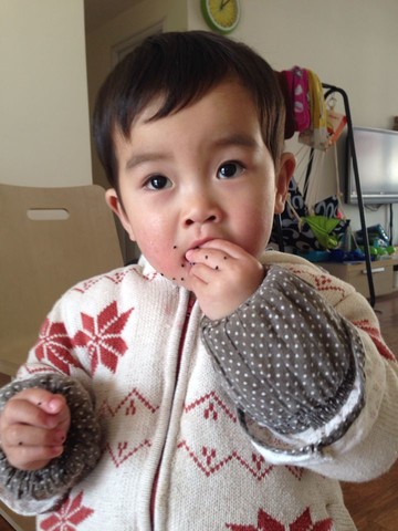 journal_insert_pic_167020228