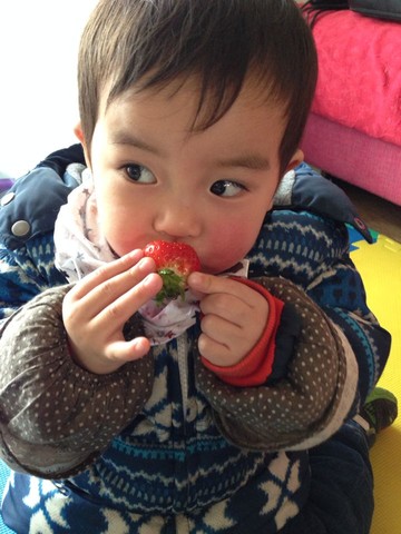 journal_insert_pic_167020217