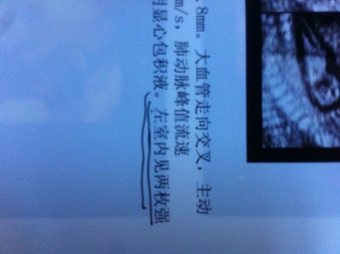 journal_insert_pic_167505247