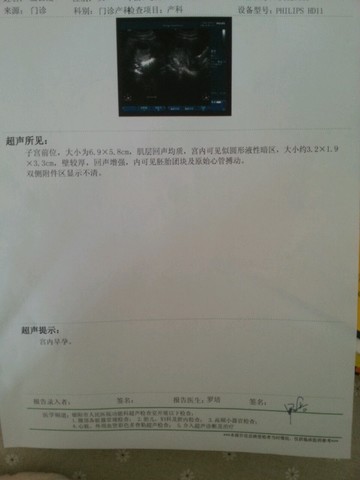 journal_insert_pic_168511500