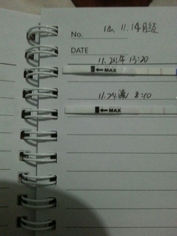 journal_insert_pic_170049894