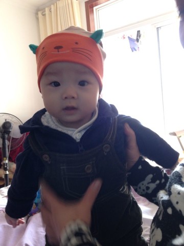 journal_insert_pic_170376091