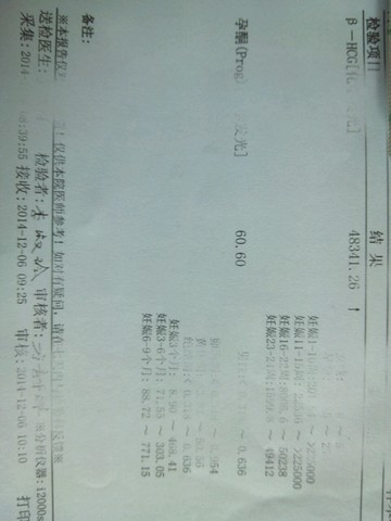 journal_insert_pic_173185007