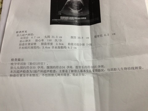 journal_insert_pic_173573891