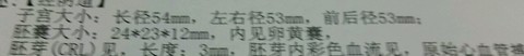 journal_insert_pic_173896388