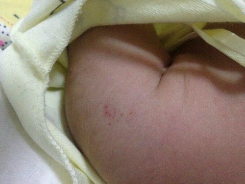 journal_insert_pic_175106271