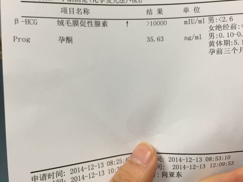 journal_insert_pic_175997061