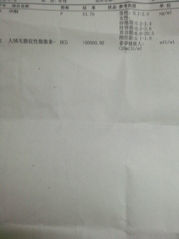journal_insert_pic_176085505