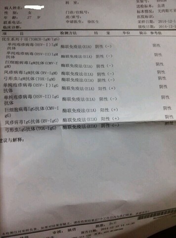 journal_insert_pic_176506478