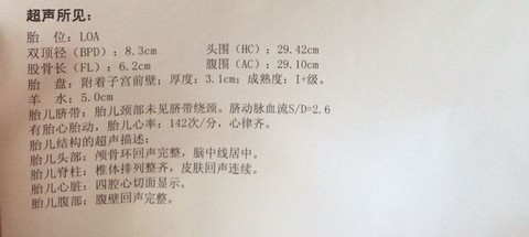 journal_insert_pic_177462186