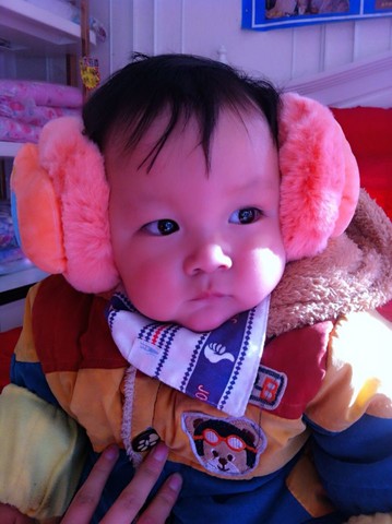 journal_insert_pic_179495462