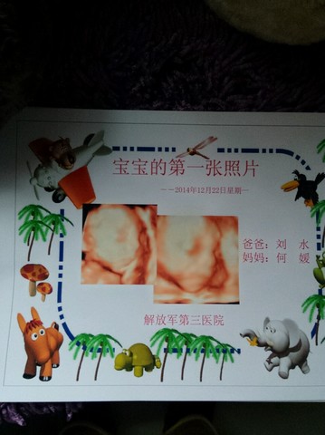 journal_insert_pic_179916431