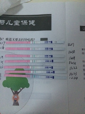 journal_insert_pic_180762913